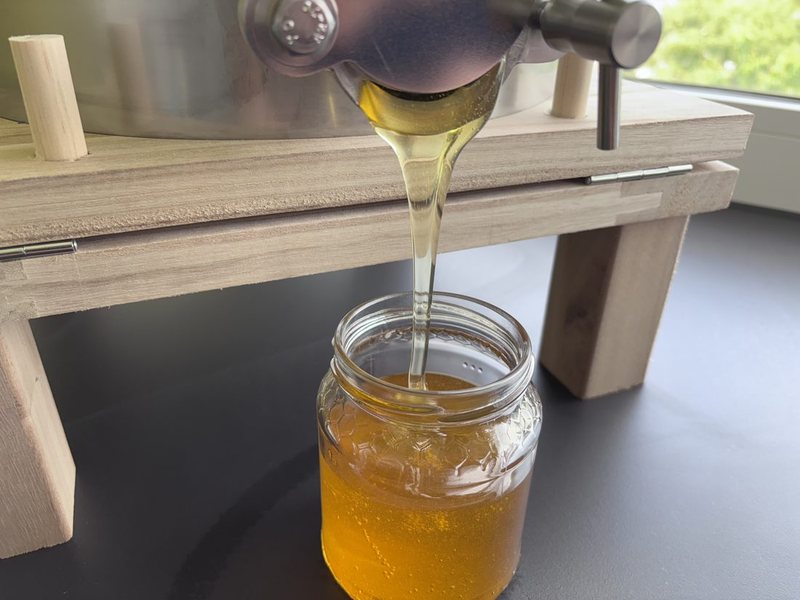 Frischer Honig fliesst aus dem Abfüllhahn in ein Glas